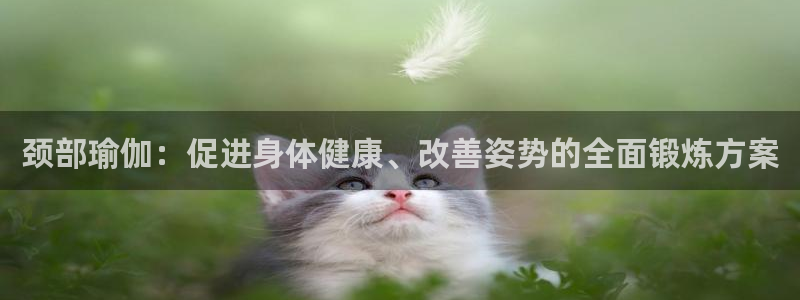 胜天国际代理