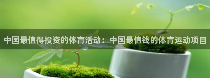 胜天国际2平台