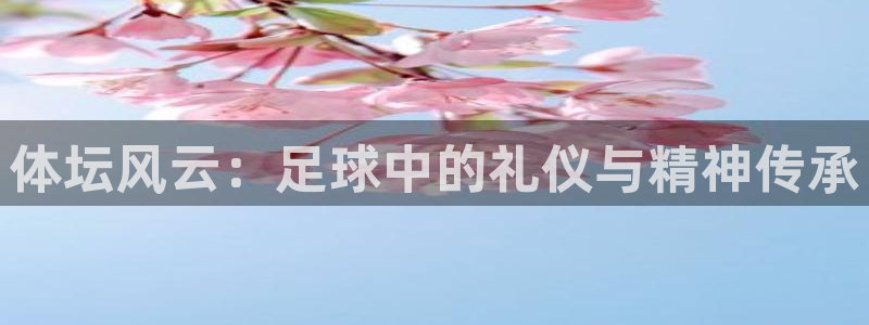 胜天国际体育官网