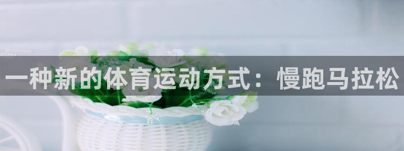 胜天国际集团