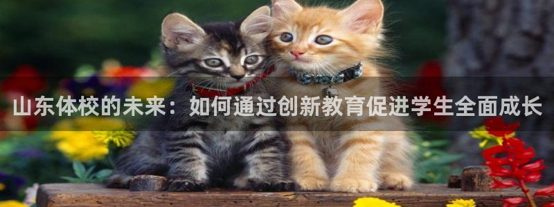 胜天国际体育在线注册