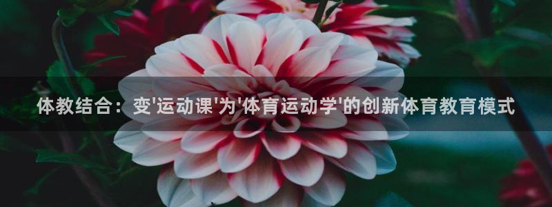 成都意昂电子有限公司