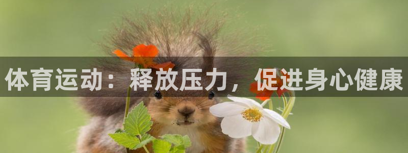 胜天国际平台