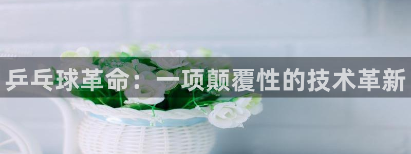 胜天国际4注册