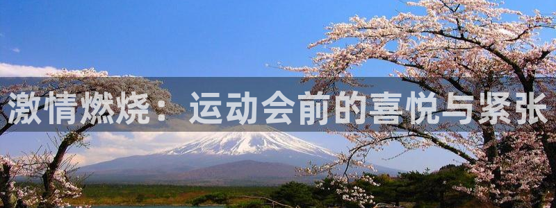 胜天国际集团股票