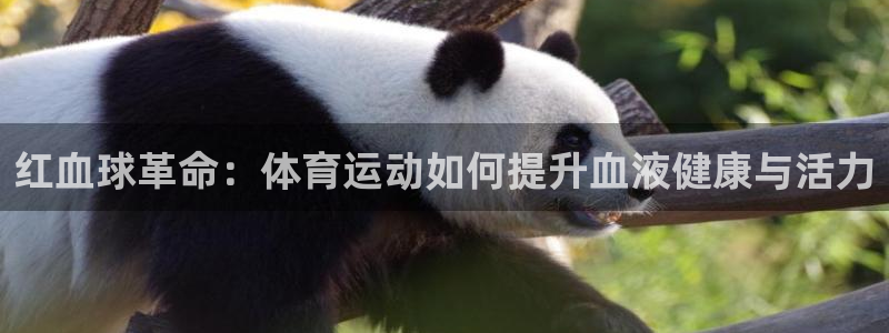 无锡意昂