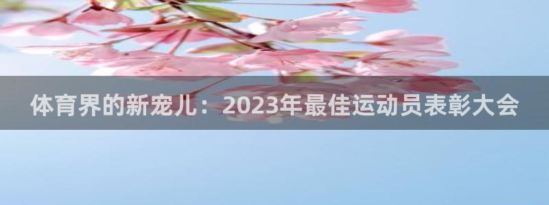 胜天国际体育免费注册入口