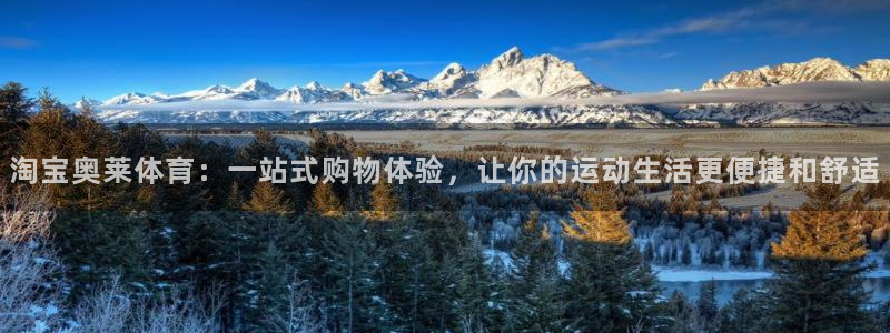 意昂招商