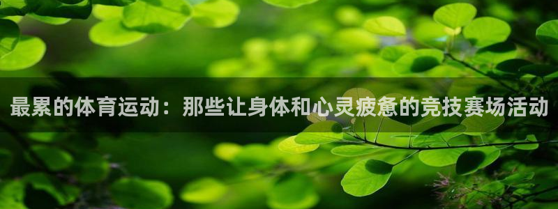 意昂5平台