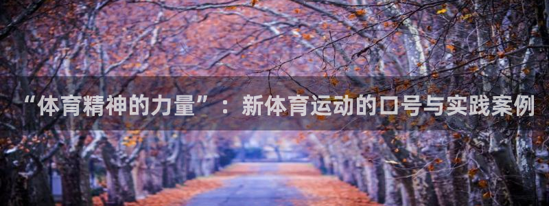 胜天国际平台主管