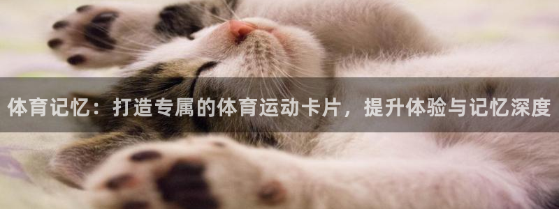 意昂的动画