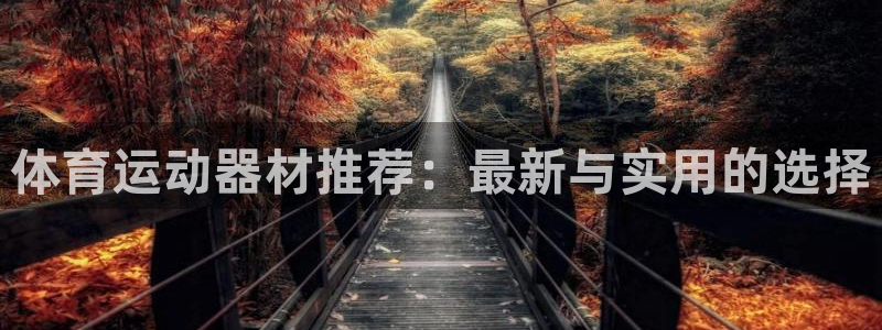 意昂集团股票